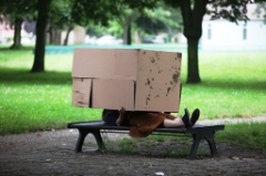 Belonging s 44 * 5616 x 3744 * (11.85MB)
